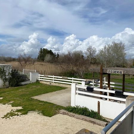 Les Maisons Du Paty Arles Luaran gambar