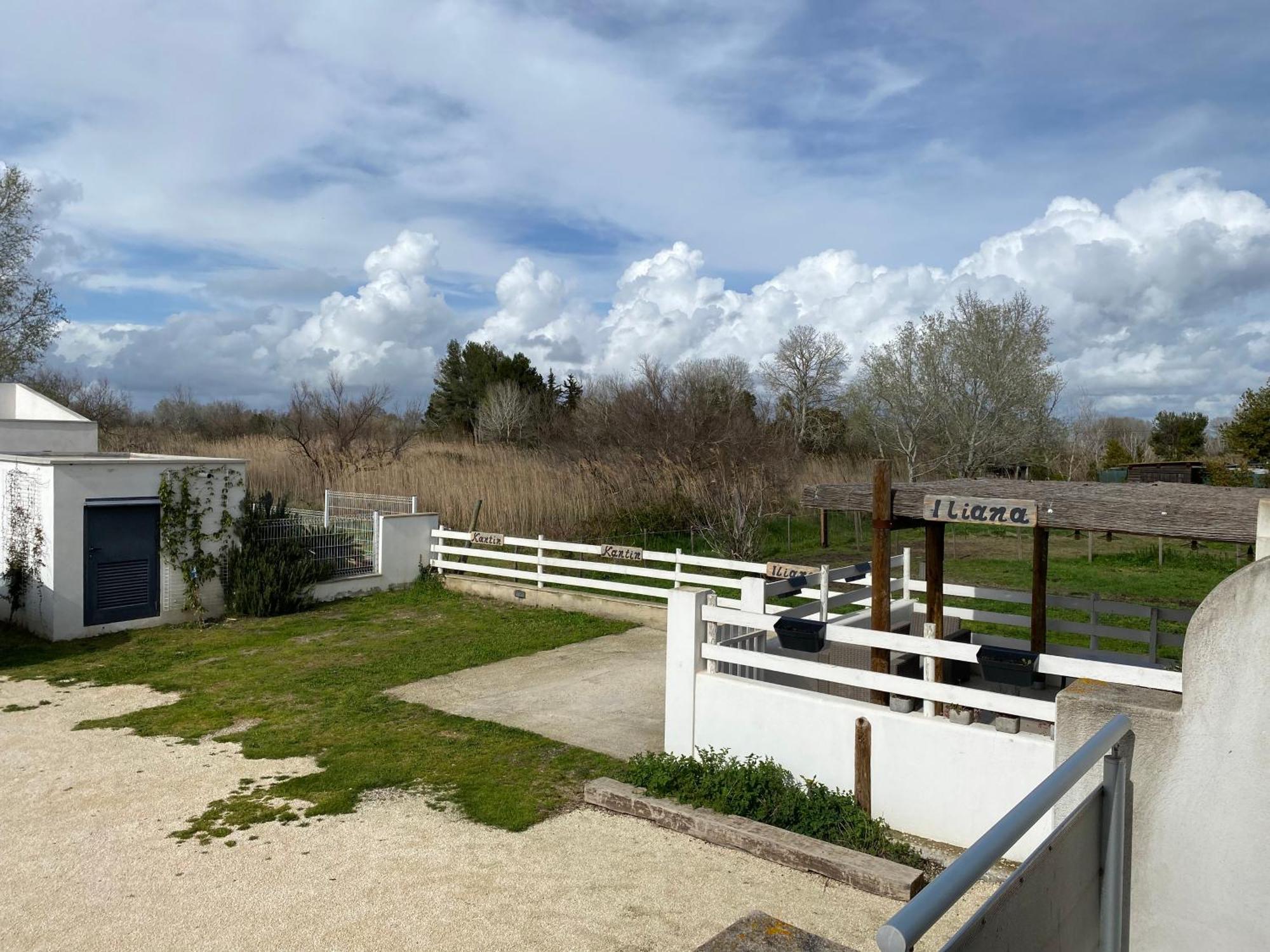 Les Maisons Du Paty Arles Luaran gambar